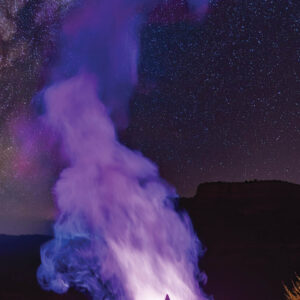 Purple Haze : Incense Sticks